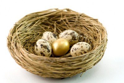 Image result for all egg in basket