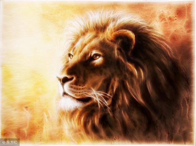 李嘉誠：一個能成大事的人，要先把自己變成“仁慈的獅子”！